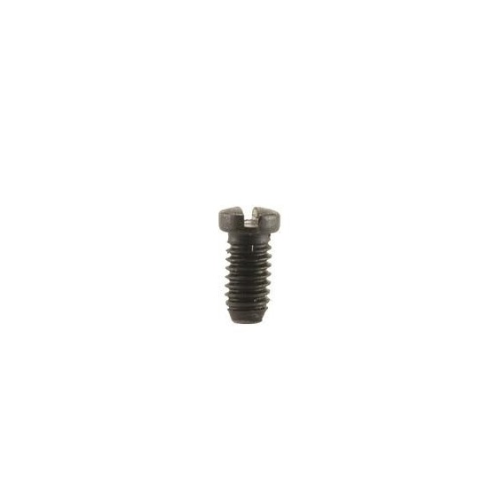 Rear Sight leaf Screw