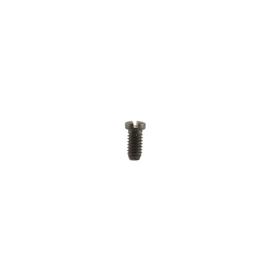 Rear Sight leaf Screw