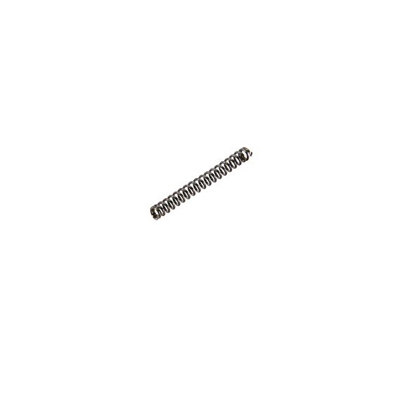 Plunger Tube Spring EGW